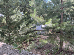 33-seyyid sibgatulah arvasi hazretleri turkiye-bitlis  5